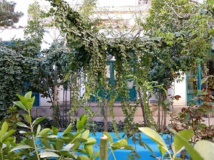 Isfahan Boutique Hotel Price